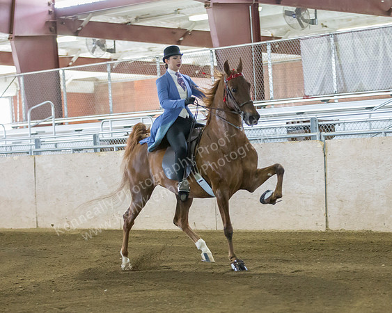 CalSpring18_SatAM_0100