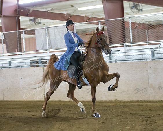 CalSpring18_SatAM_0101
