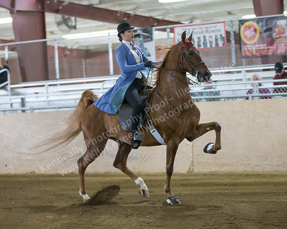 CalSpring18_SatAM_0102