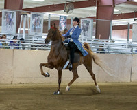 CalSpring18_SatAM_0123