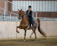 CalSpring18_SatAM_0137