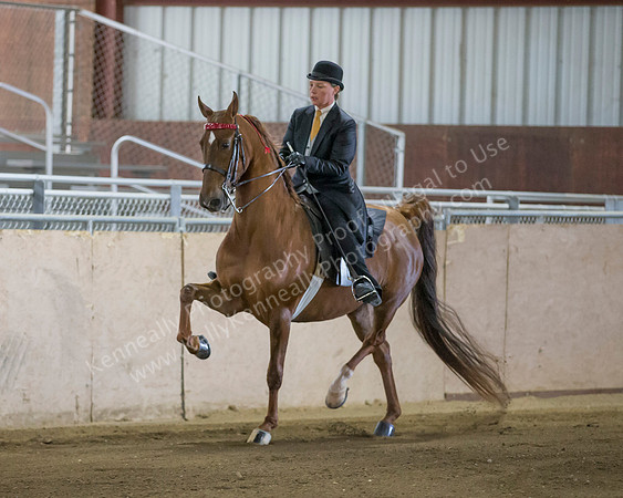 CalSpring18_SatAM_0137