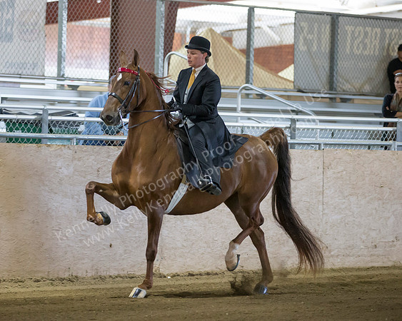 CalSpring18_SatAM_0139