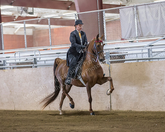 CalSpring18_SatAM_0144