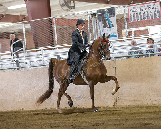 CalSpring18_SatAM_0146