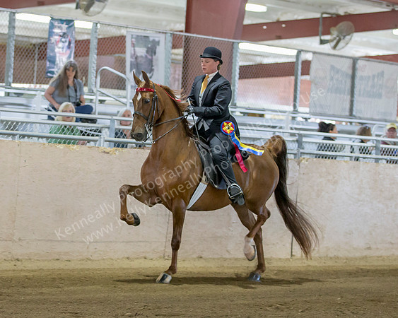 CalSpring18_SatAM_0164