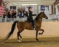CalSpring18_SatAM_0213