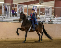 CalSpring18_SatAM_0245
