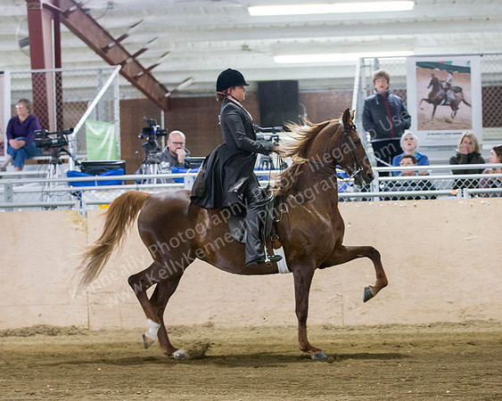 CalSpring18_SatAM_0328