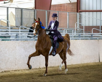 CalSpring18_SatAM_0347