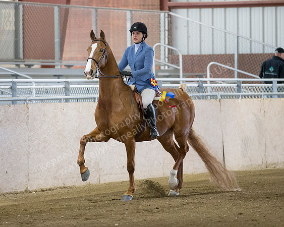 CalSpring18_SatAM_0445