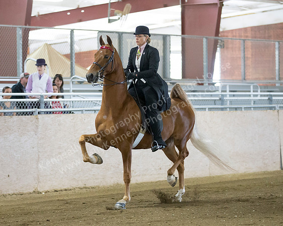 CalSpring18_SatAM_0466