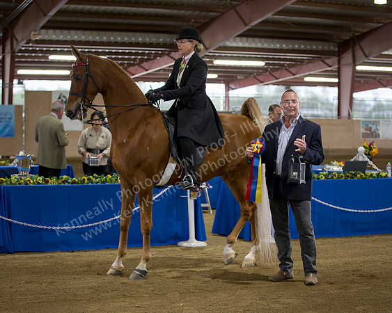 CalSpring18_SatAM_0490