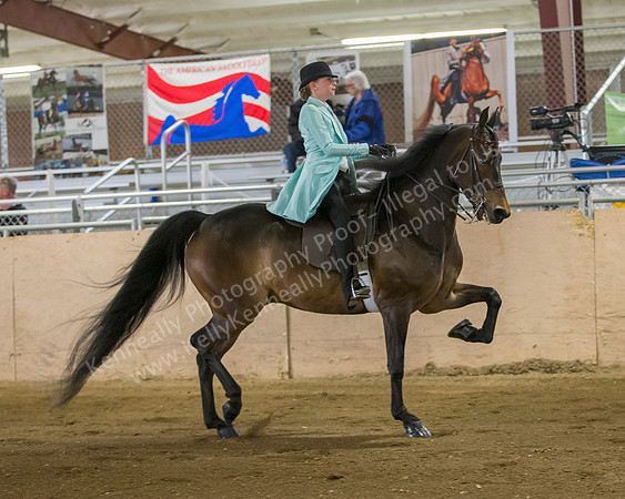 CalSpring18_SatAM_0520