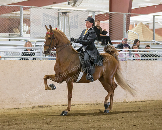 CalSpring18_SatAM_0552