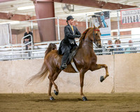 CalSpring18_SatAM_0554