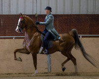 Class 87 ASB three Gaited Country Pleasure Stake
