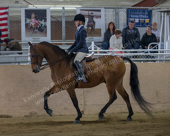 CalSpring18_SunAM_2012