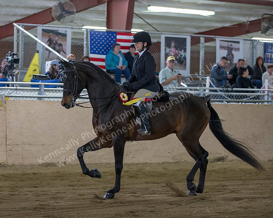 CalSpring18_SunAM_2028