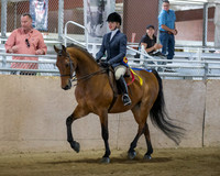 CalSpring18_SunAM_2033