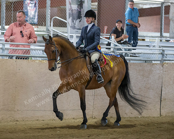 CalSpring18_SunAM_2033