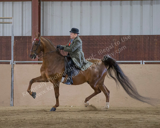 CalSpring18_SunAM_2049