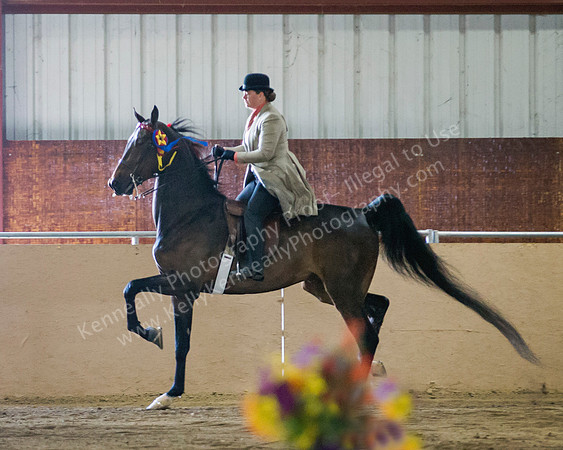 CalSpring18_SunAM_2088