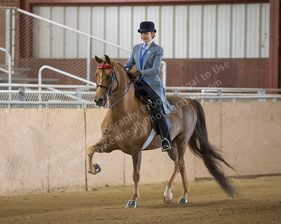 CalSpring18_SunAM_2110