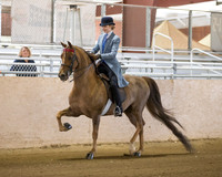 CalSpring18_SunAM_2112