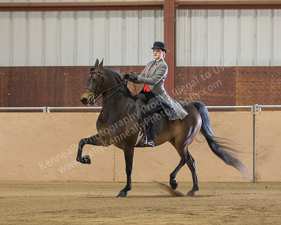 CalSpring18_SunAM_2117