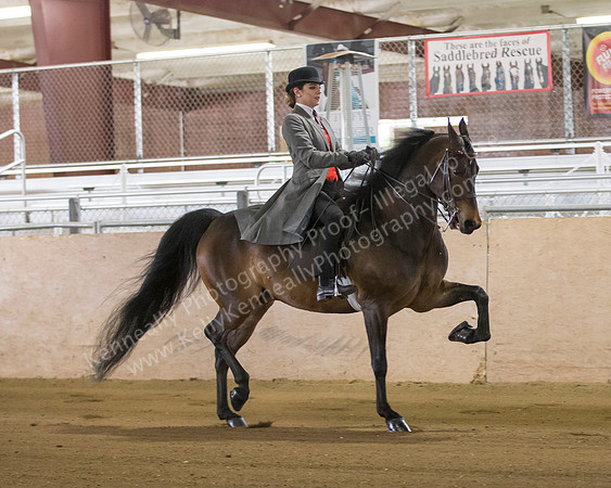 CalSpring18_SunAM_2127