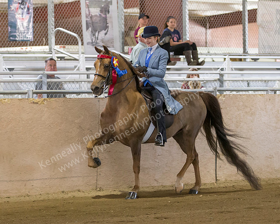 CalSpring18_SunAM_2154