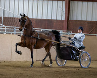 Class 94 Morgan Classic Pleasure Driving Championship