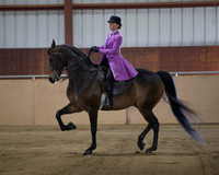 Class 97 Walk Trot Pleasure 12 & Under Stake Any Breed Any Seat