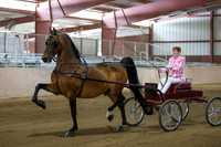 Class 98 Morgan Park Harness Championship