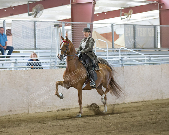 CalSpring18_SunAM_2363