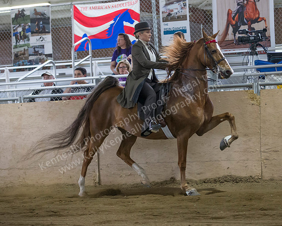 CalSpring18_SunAM_2426