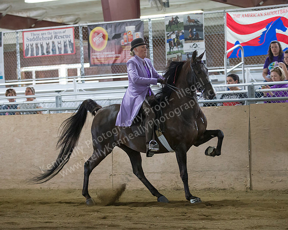 CalSpring18_SunAM_2434
