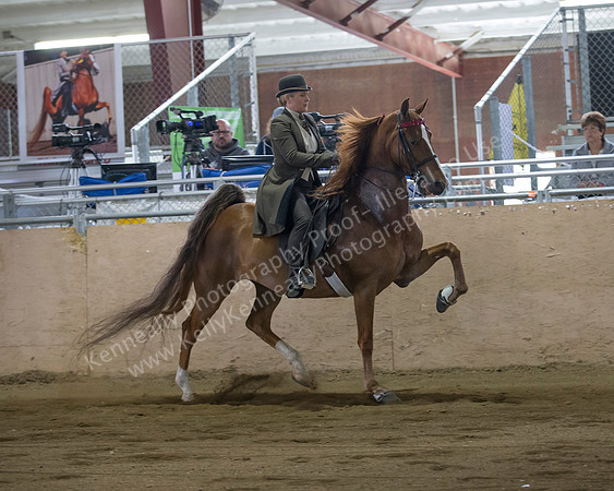 CalSpring18_SunAM_2470