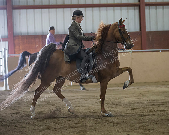 CalSpring18_SunAM_2474