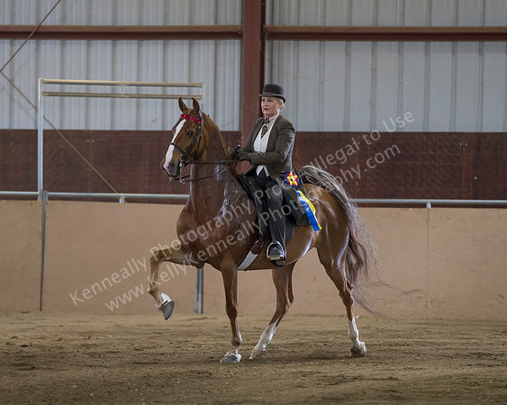 CalSpring18_SunAM_2505