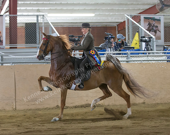 CalSpring18_SunAM_2522