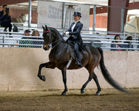 CalSpring18_SatPM_1046