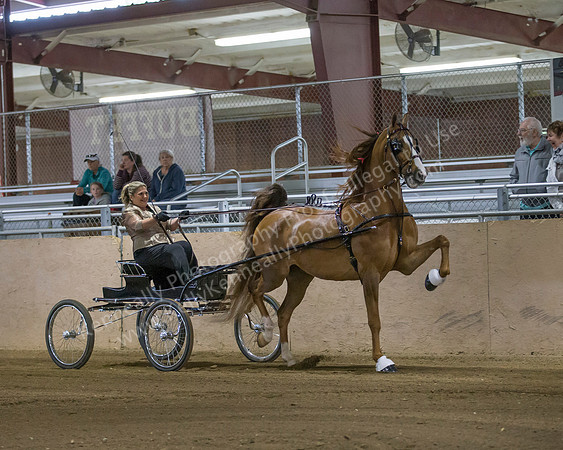 CalSpring18_SatPM_0770