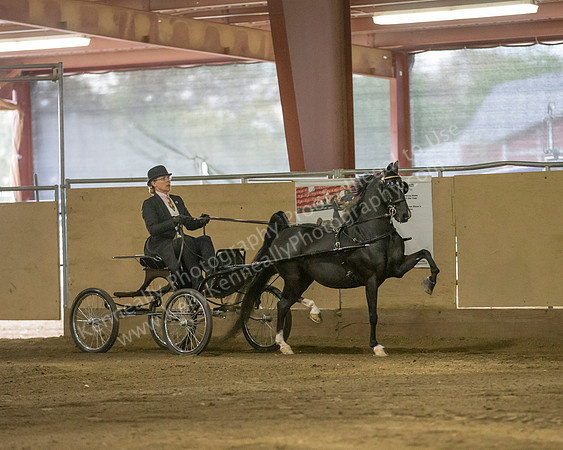 CalSpring18_SatPM_0815