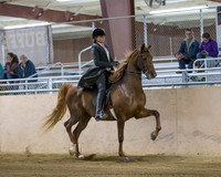 CalSpring18_SatPM_0860