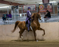 CalSpring18_SatPM_0857