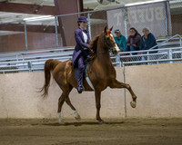 CalSpring18_SatPM_0870