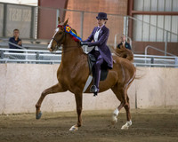 CalSpring18_SatPM_0875