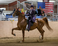 CalSpring18_SatPM_0880